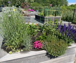 brooksby village garden